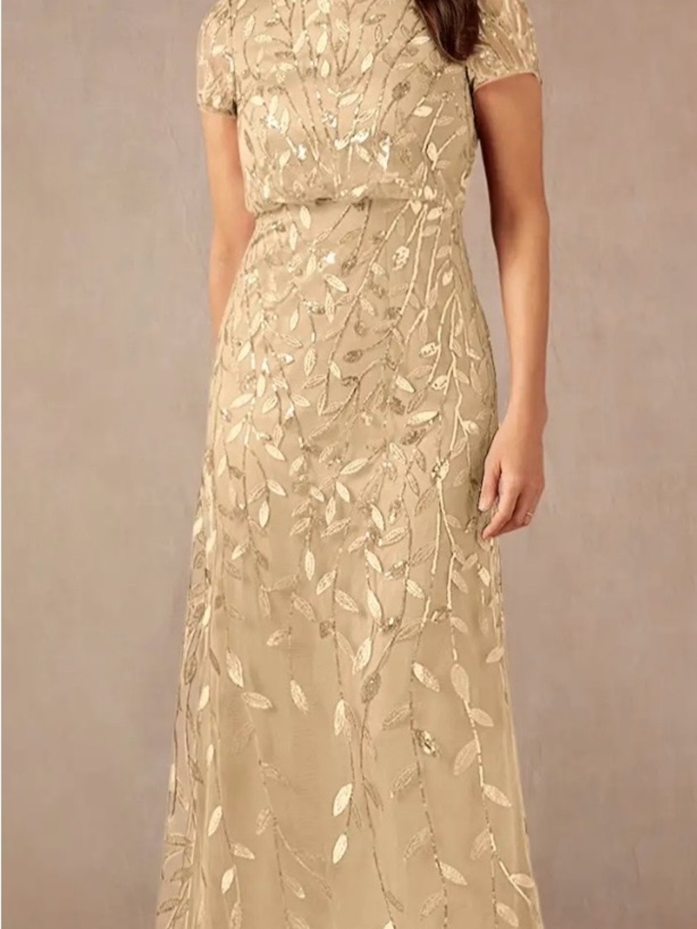 Elegant Champagne Embroidered Short-Sleeve Dress